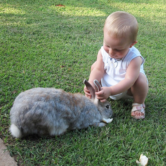 Hotel Fazenda com animais em Brotas