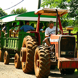 Diversão rural em Hotel Fazenda em Brotas