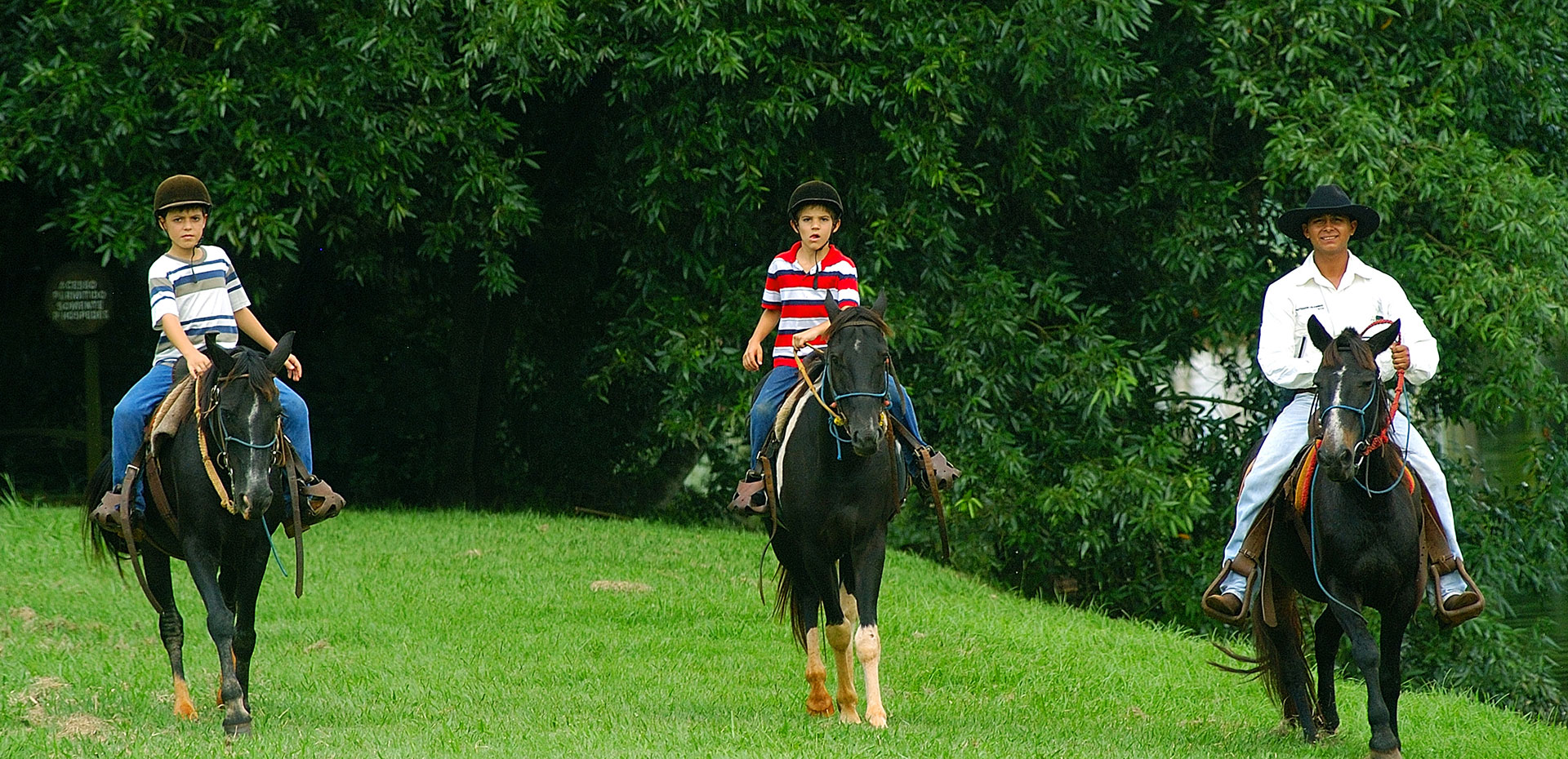 Contato direto com animais da fazenda